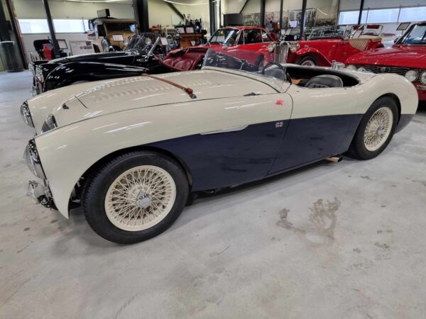 Austin Healey - 100-4 (BN1)