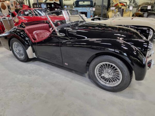 Triumph - TR3